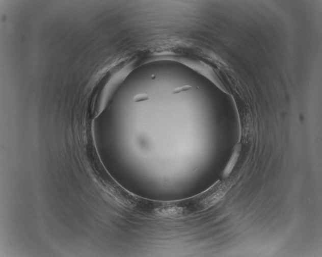 X0000070210452200605301406