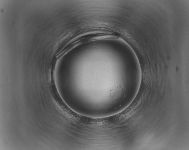 X0000070210454200605301406