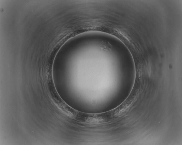 X0000070210455200605301406