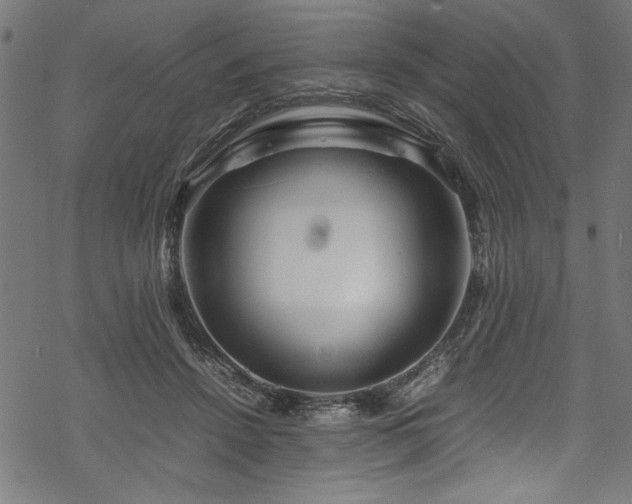 X0000070210456200605301406