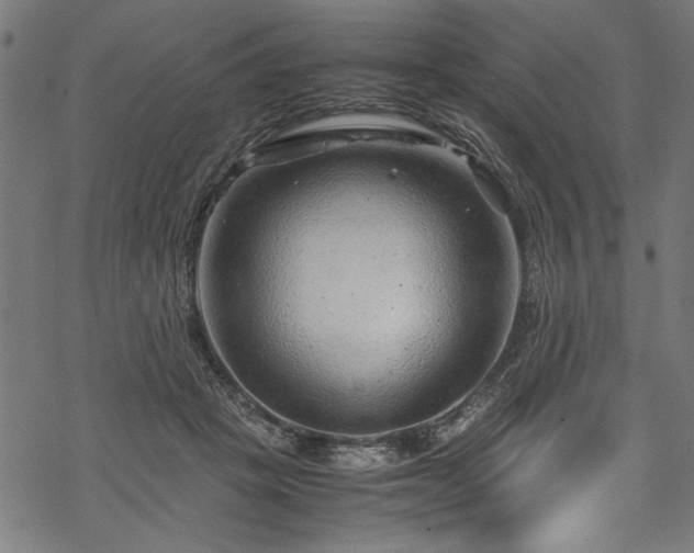 X0000070210457200605301406