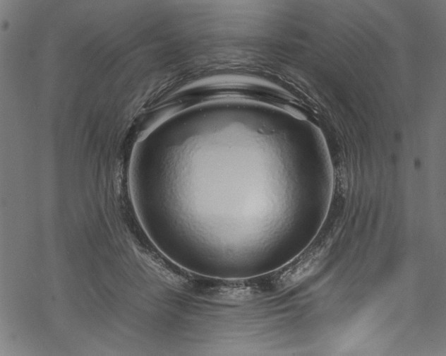 X0000070210458200605301407