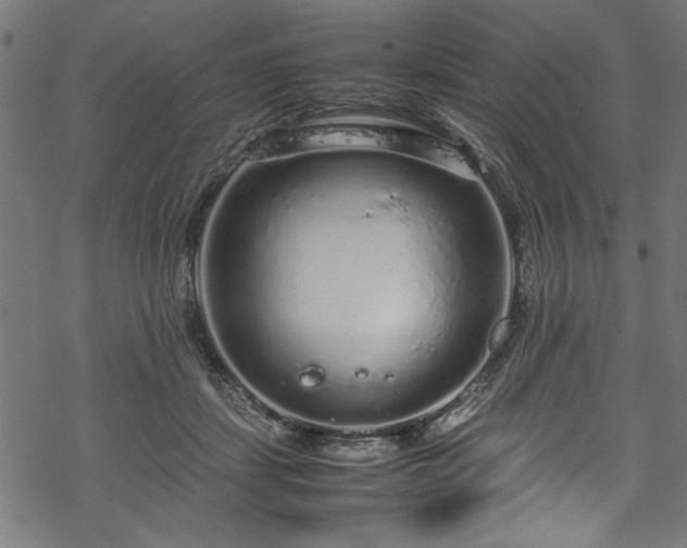 X0000070210459200605301407