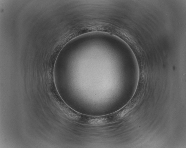 X0000070210461200605301407