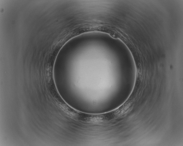 X0000070210462200605301407