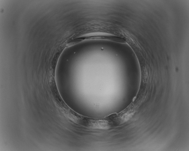 X0000070210463200605301407