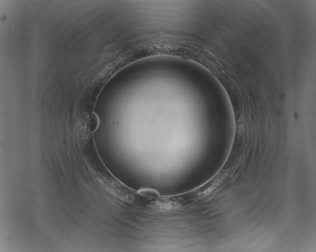 X0000070210464200605301407