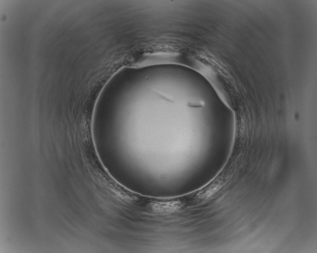 X0000070210465200605301407