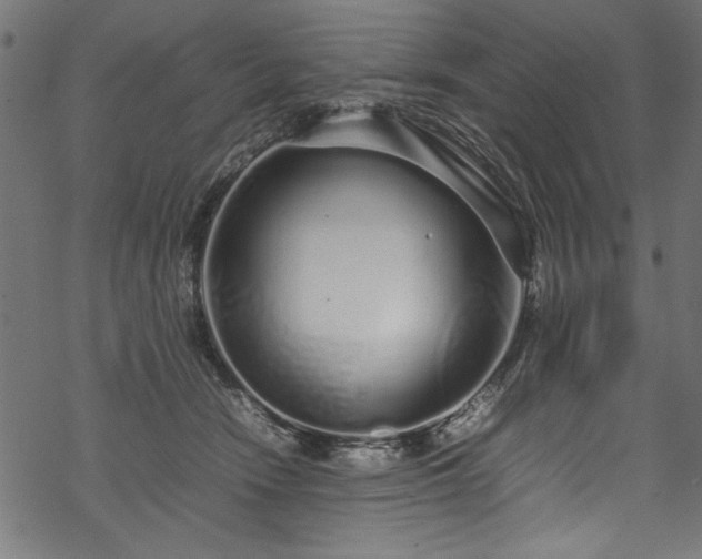 X0000070210466200605301407