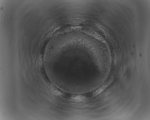 X0000070210467200605301407