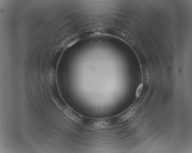 X0000070210468200605301407