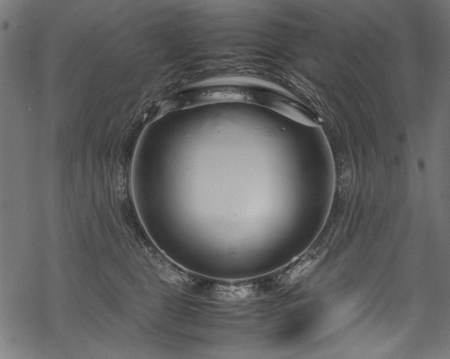 X0000070210469200605301407