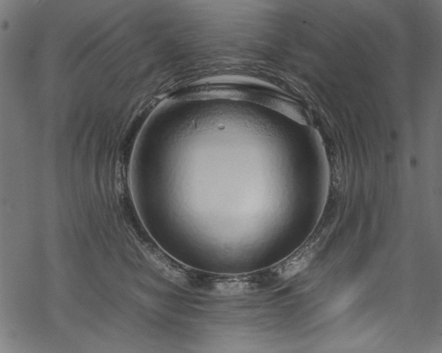 X0000070210470200605301407