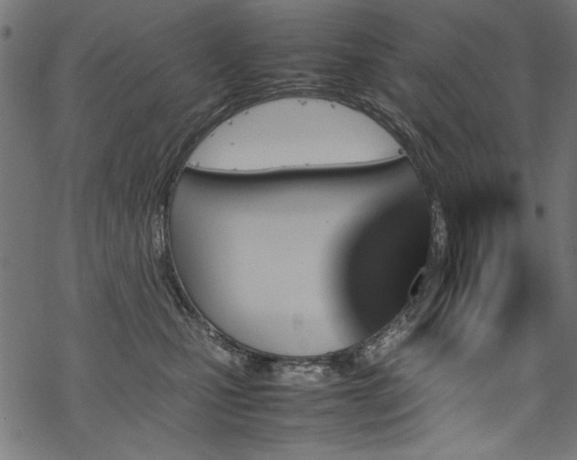 X0000070210471200605301407