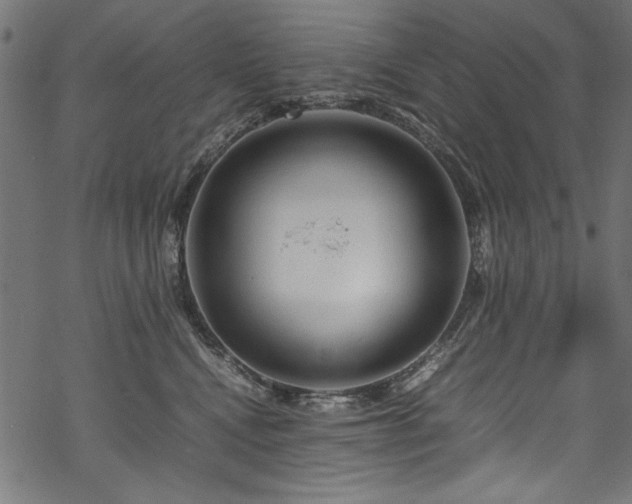 X0000070210472200605301407