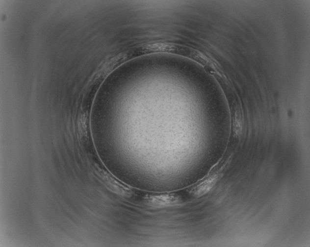 X0000070210473200605301407