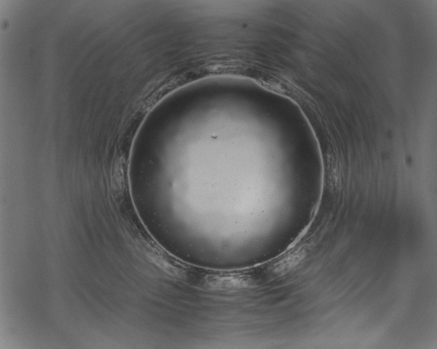 X0000070210475200605301407