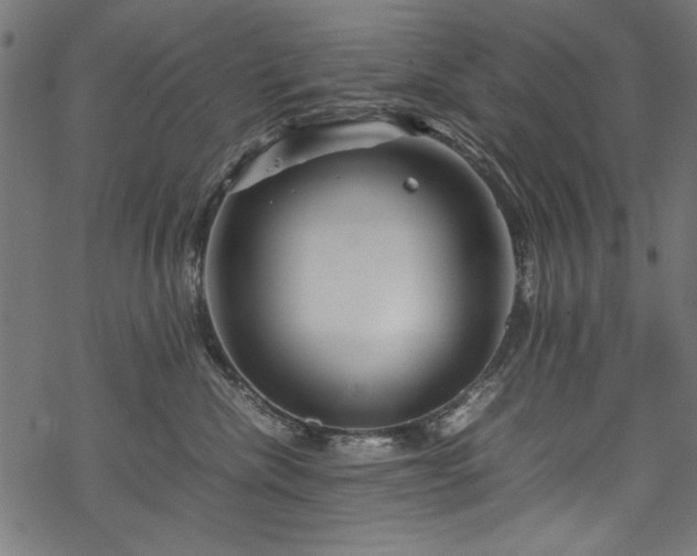 X0000070210476200605301407