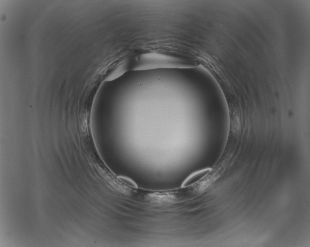 X0000070210477200605301407