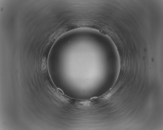 X0000070210478200605301407