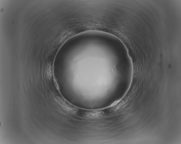 X0000070210479200605301407