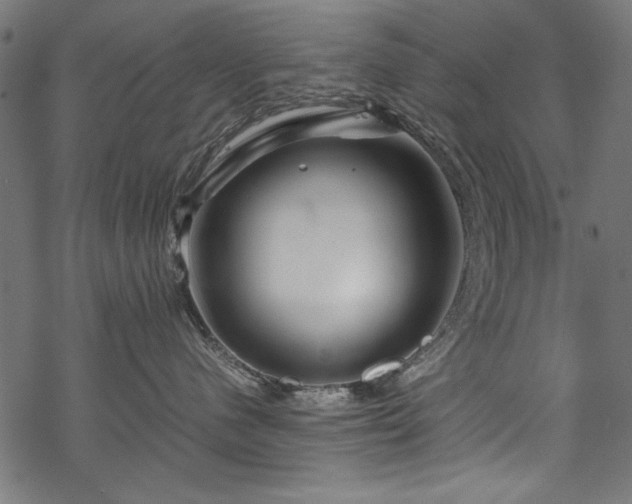 X0000070210480200605301407