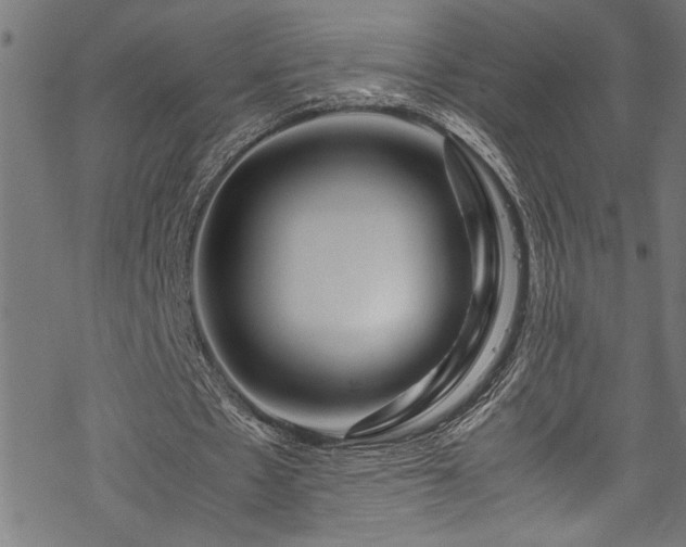 X0000070210481200605301406