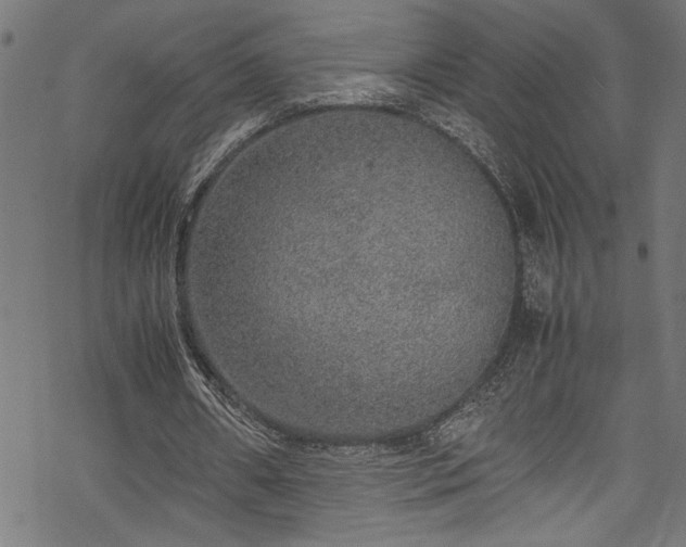 X0000070210482200605301406