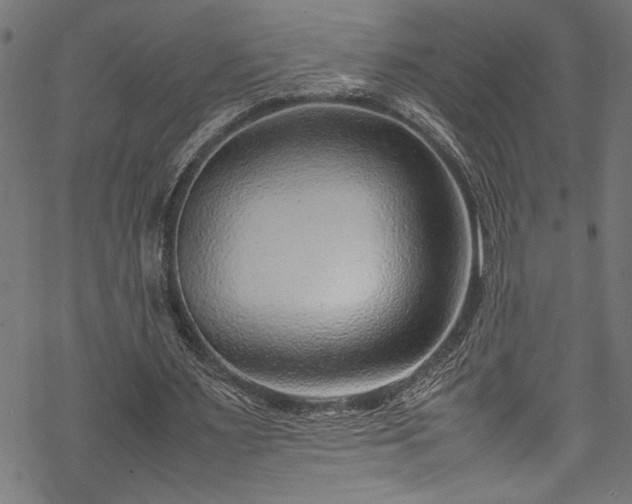 X0000070210483200605301406