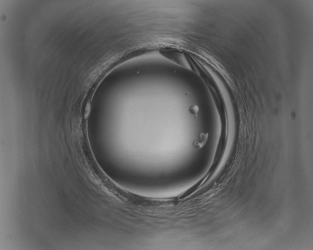 X0000070210485200605301406