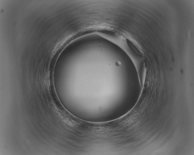 X0000070210486200605301406