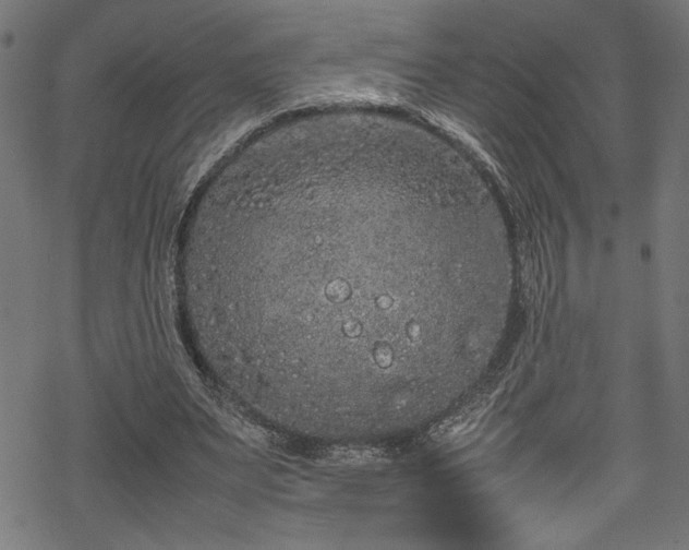 X0000070210487200605301406