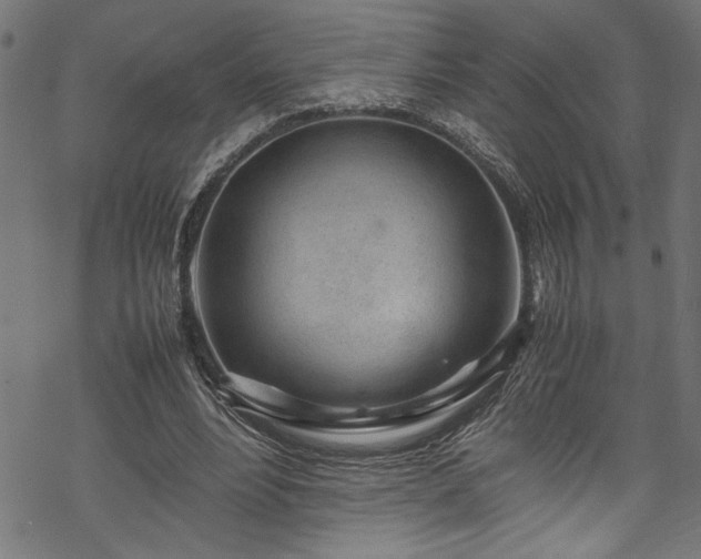 X0000070210488200605301406