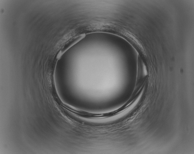 X0000070210489200605301406