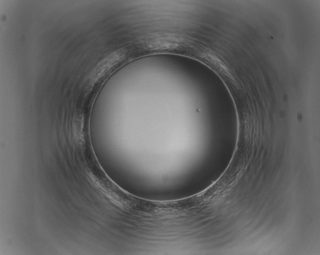 X0000070210490200605301406