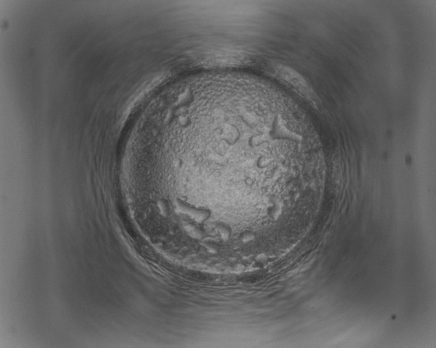 X0000070210491200605301406