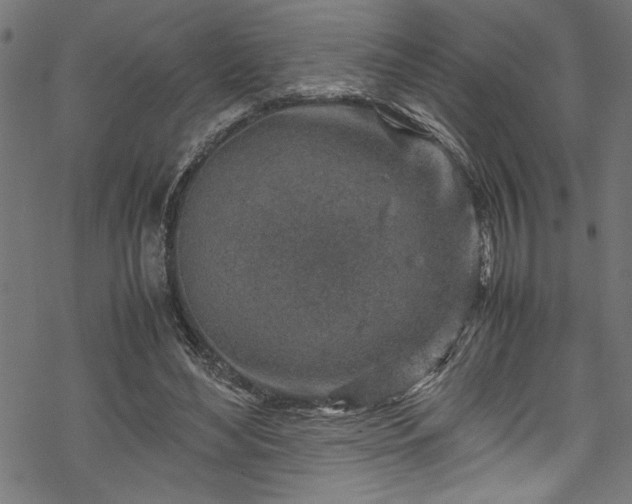 X0000070210492200605301406