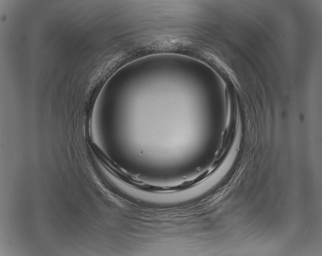 X0000070210493200605301406