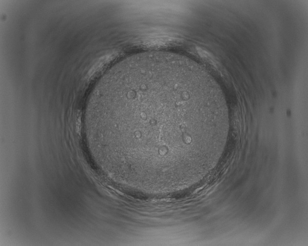 X0000070210495200605301406