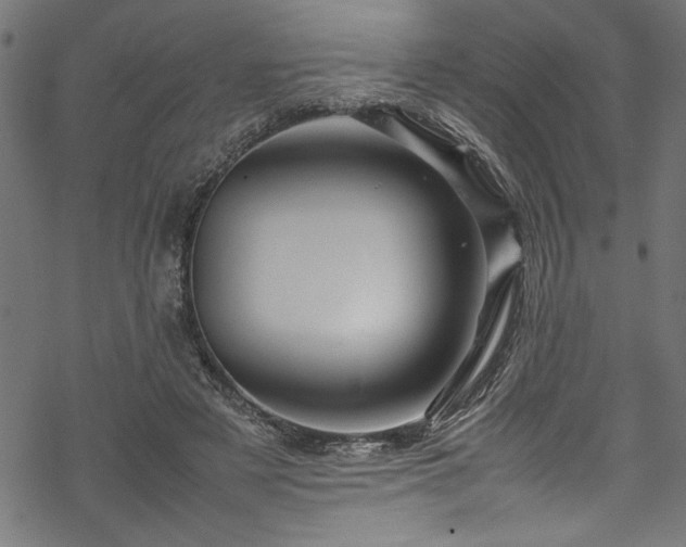 X0000070210497200605301406