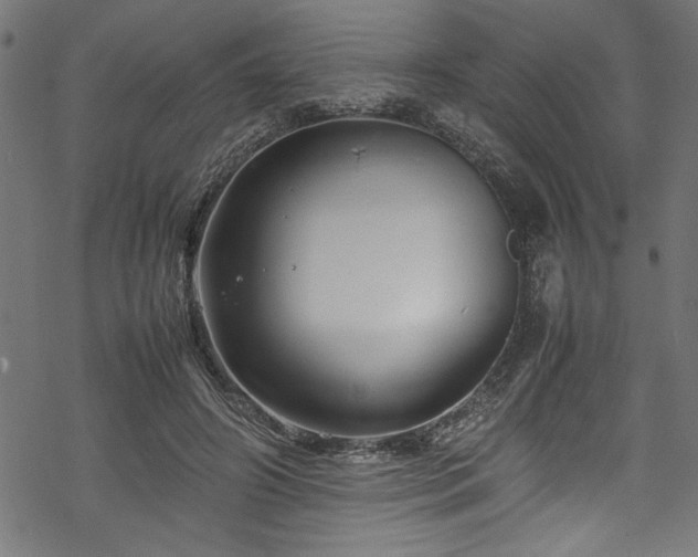 X0000070210498200605301406