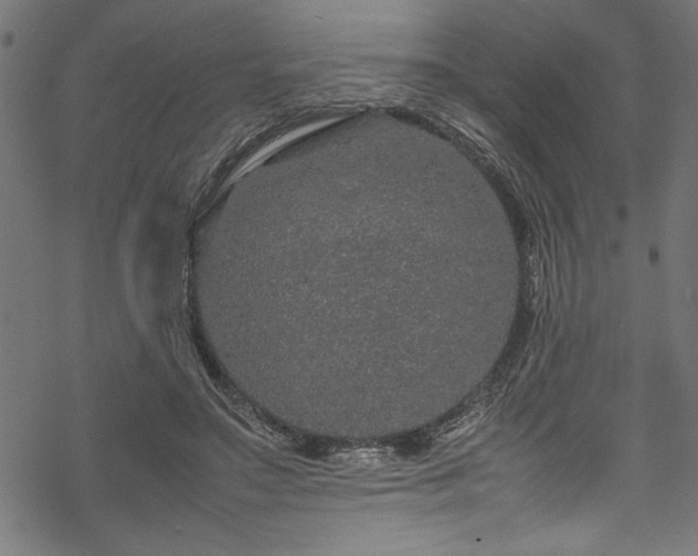 X0000070210499200605301406