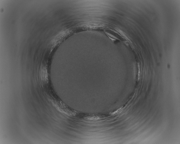 X0000070210500200605301406