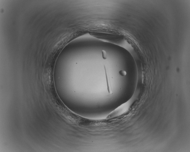 X0000070210501200605301406