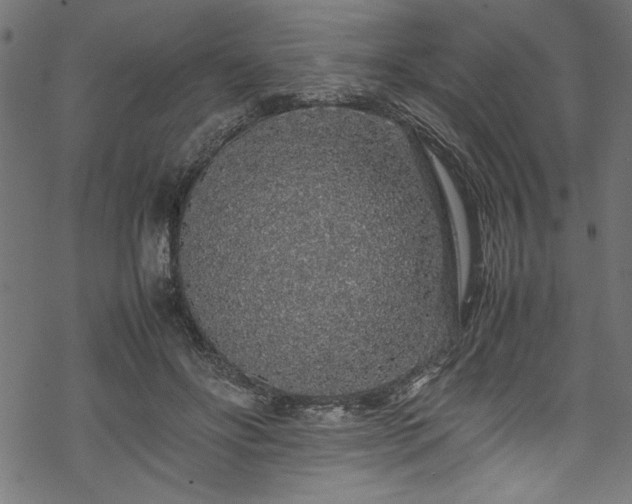 X0000070210502200605301406