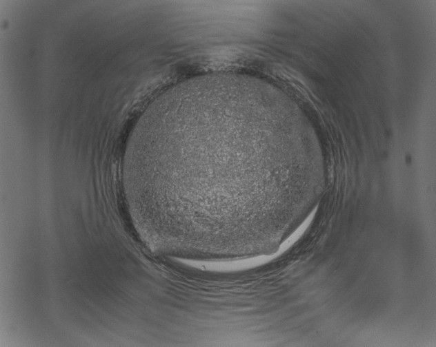 X0000070210503200605301406