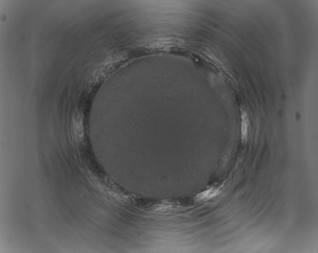 X0000070210504200605301406