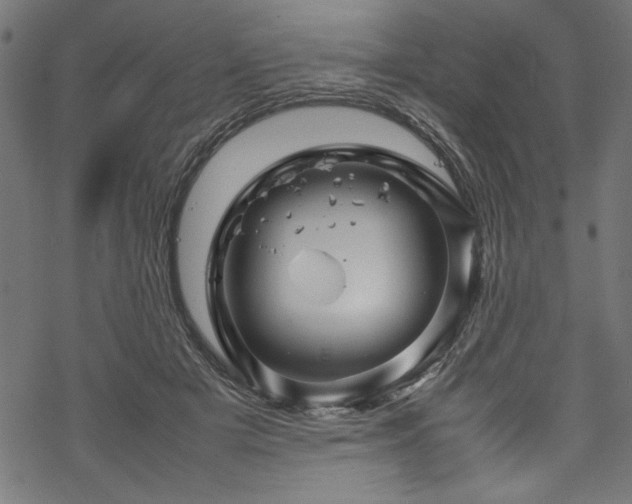 X0000070210505200605301406