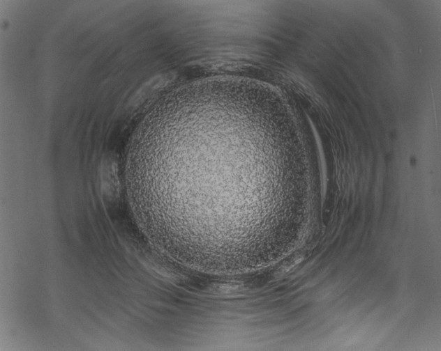 X0000070210506200605301406