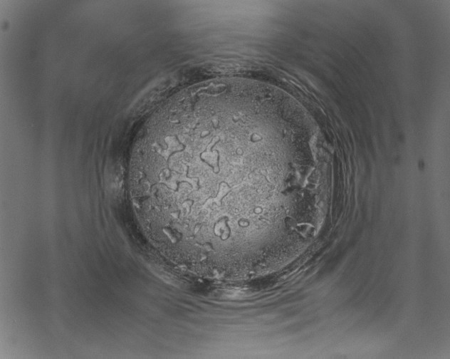 X0000070210507200605301406